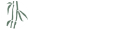 环球国际官方网站